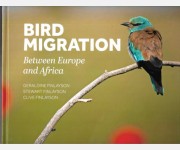 Bird Migration Between Europe and Africa (Geraldine, Stewart & Clive Finlayson)